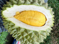 Sầu riêng tăng giá gấp đôi