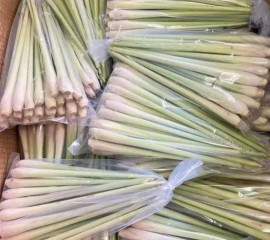 Sả cây