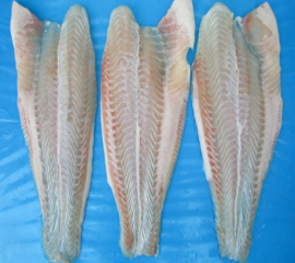 Cá file, Bỏ Chỉ Đỏ