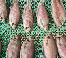 Khô cá sặc rằn