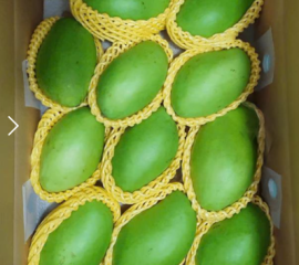 Xoài keo