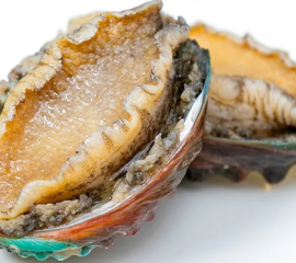 Bào Ngư