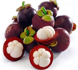 Măng Cụt