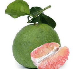 Bưởi Da Xanh