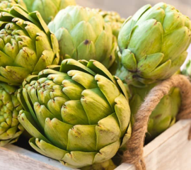 Bông Atiso Tươi Đà Lạt