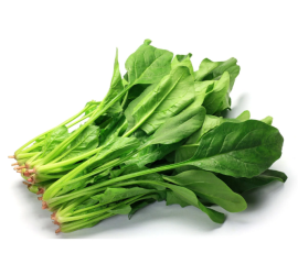 Cải bó xôi Đà Lạt – Rau Chân Vịt – Rau Cải Bina