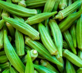 Đậu bắp