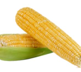 Bắp Ngô