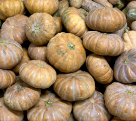 Bí đỏ (bí ngô)- Bí ngô tròn dài – Bí đỏ làm sạch