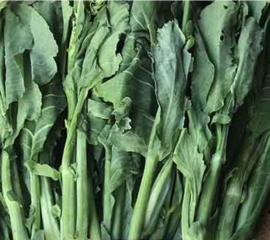 Cải Làn Lạng Sơn