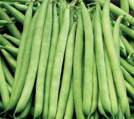 Đậu Cove (Đậu Trạch)