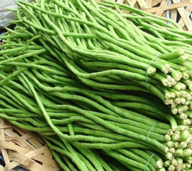 Đậu đũa – đậu cove