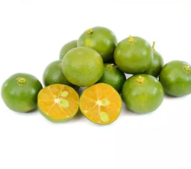 Quả Quất – Quả Tắc