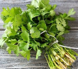 Rau mùi – Rau ngò