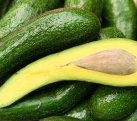 Bơ Sáp Đắc Lắc: Bơ 034, Bơ booth, Bơ sáp Long Khánh, Bơ Trịnh Mười