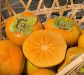 Hồng Giòn Mộc Châu