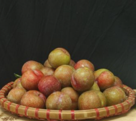 Mận Hậu Mộc Châu Sơn La